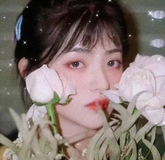 青春环游记第四季