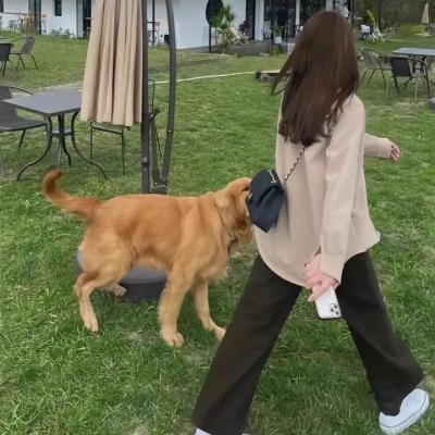 算命师的逆袭
