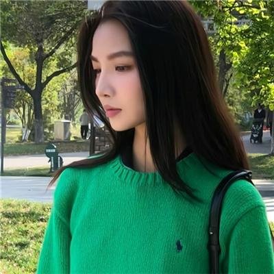 斑马头